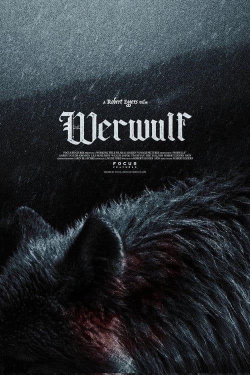 A dark, atmospheric movie poster features the title Werwulf in gothic script above the shadowy, close-up fur of a wolf, with snowy textures and film credits below—hinting at an enigmatic tale set against wintry backdrops, now available to stream on IPTV Netherlands.